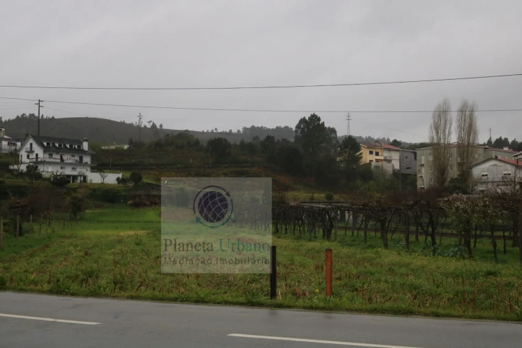 Terreno para Venda em Campo e Sobrado Foto 2
