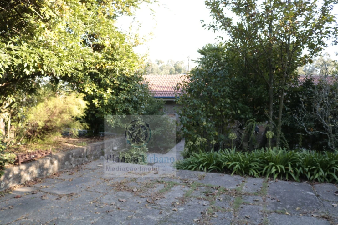 Quinta T3 para Venda em Figueiro Foto 2