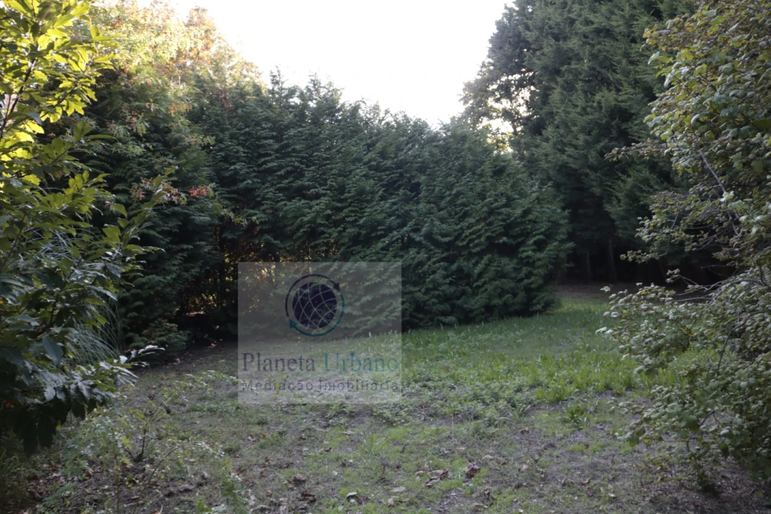 Quinta T3 para Venda em Figueiro Foto 12