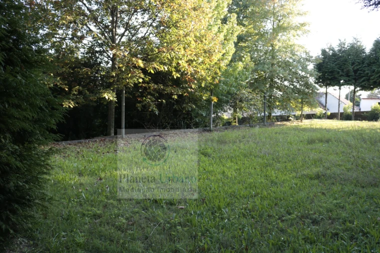 Quinta T3 para Venda em Figueiro Foto 9