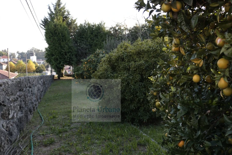 Quinta T3 para Venda em Figueiro Foto 7