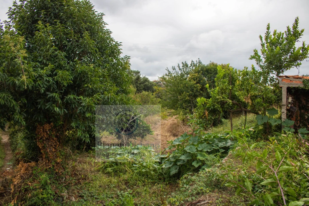 Terreno para Venda em Gandra Foto 2