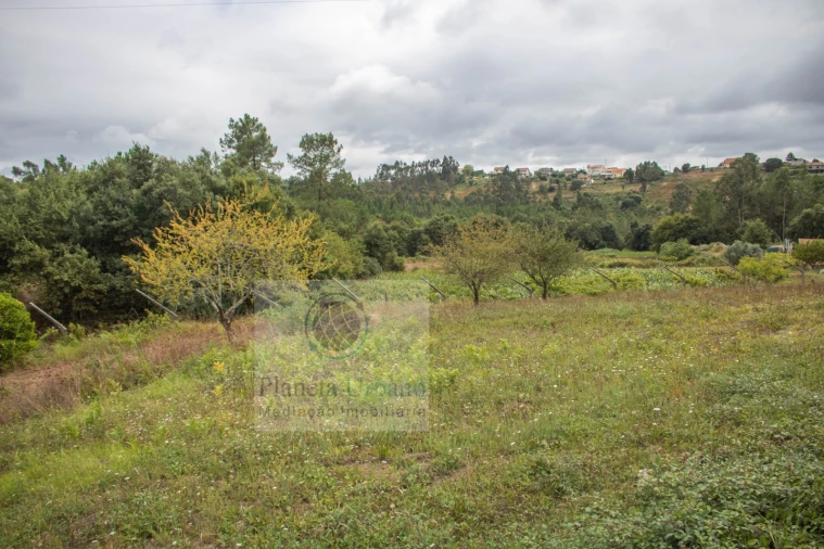 Terreno para Venda em Gandra