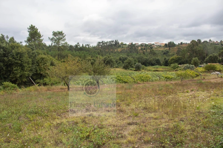 Terreno para Venda em Gandra Foto 5