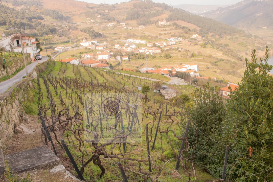 Terreno Agricola ou Rústico para Venda em Barqueiros Foto 2