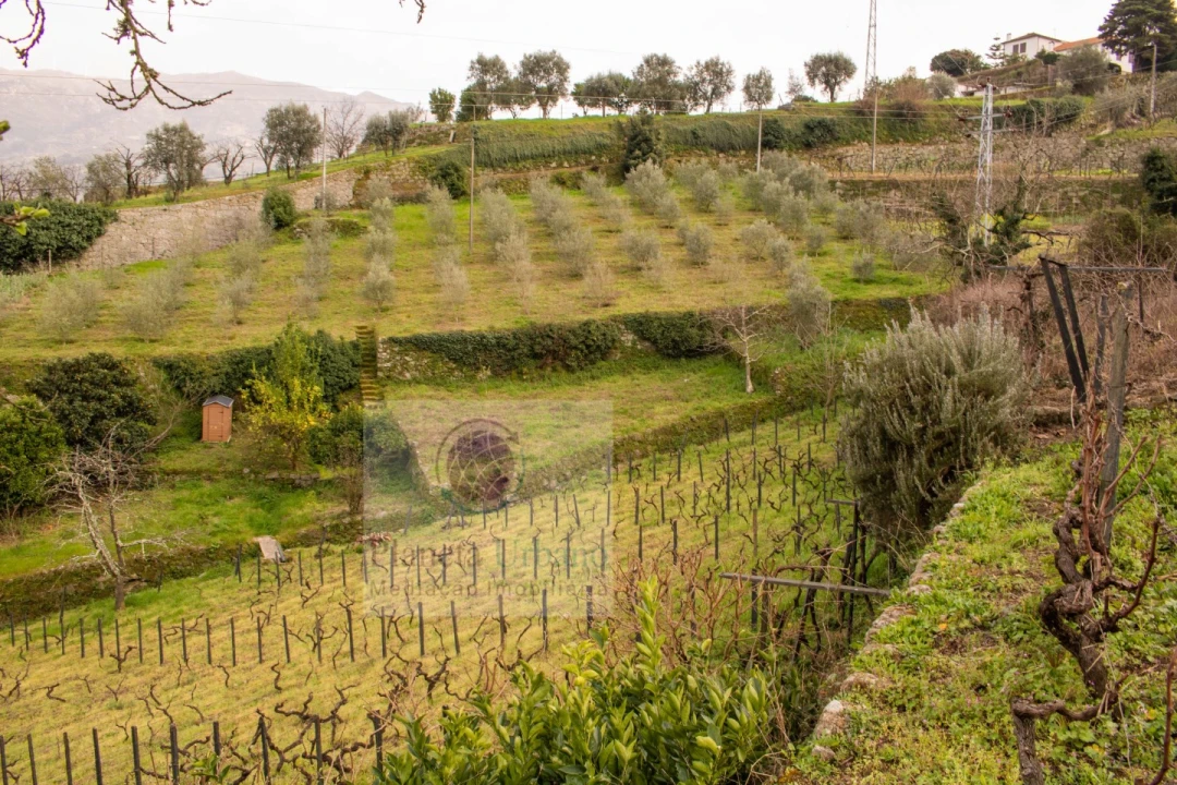 Terreno Agricola ou Rústico para Venda em Barqueiros Foto 3