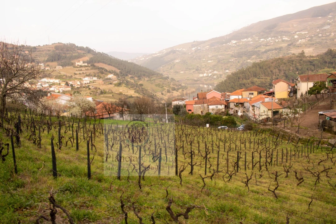 Terreno Agricola ou Rústico para Venda em Barqueiros Foto 4