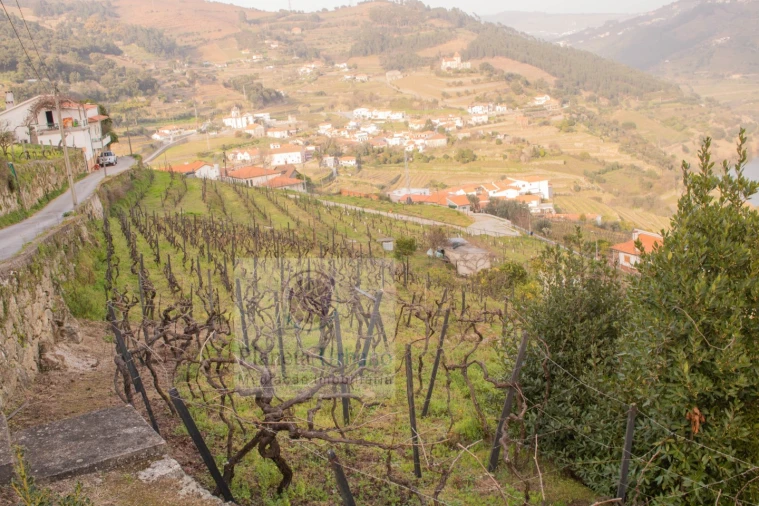 Terreno Agricola ou Rústico para Venda em Barqueiros Foto 2