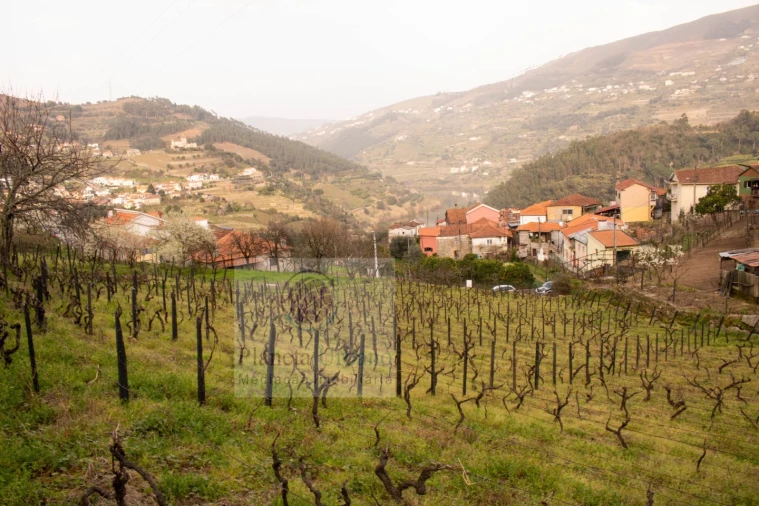Terreno Agricola ou Rústico para Venda em Barqueiros Foto 4