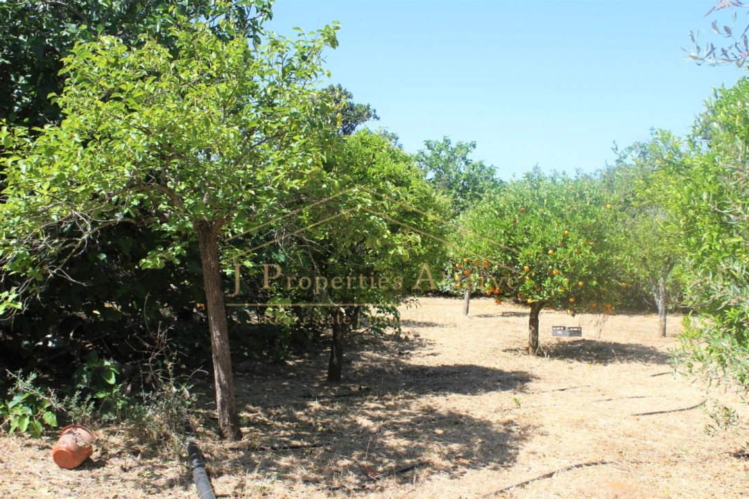 Apartamento T4 para Venda em Santa Barbara de Nexe Foto 27
