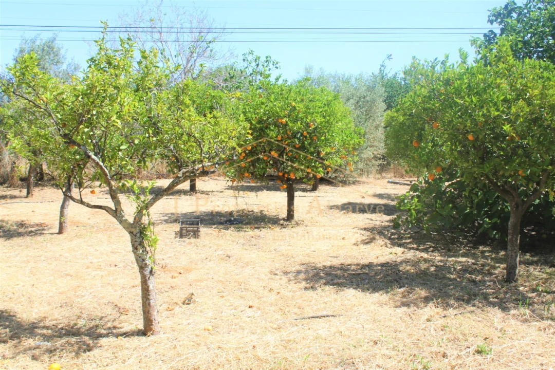 Apartamento T4 para Venda em Santa Barbara de Nexe Foto 28