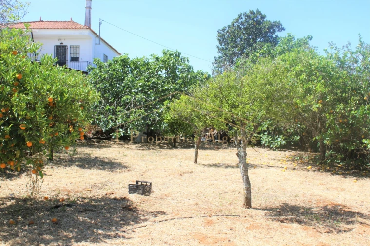 Apartamento T4 para Venda em Santa Barbara de Nexe Foto 26