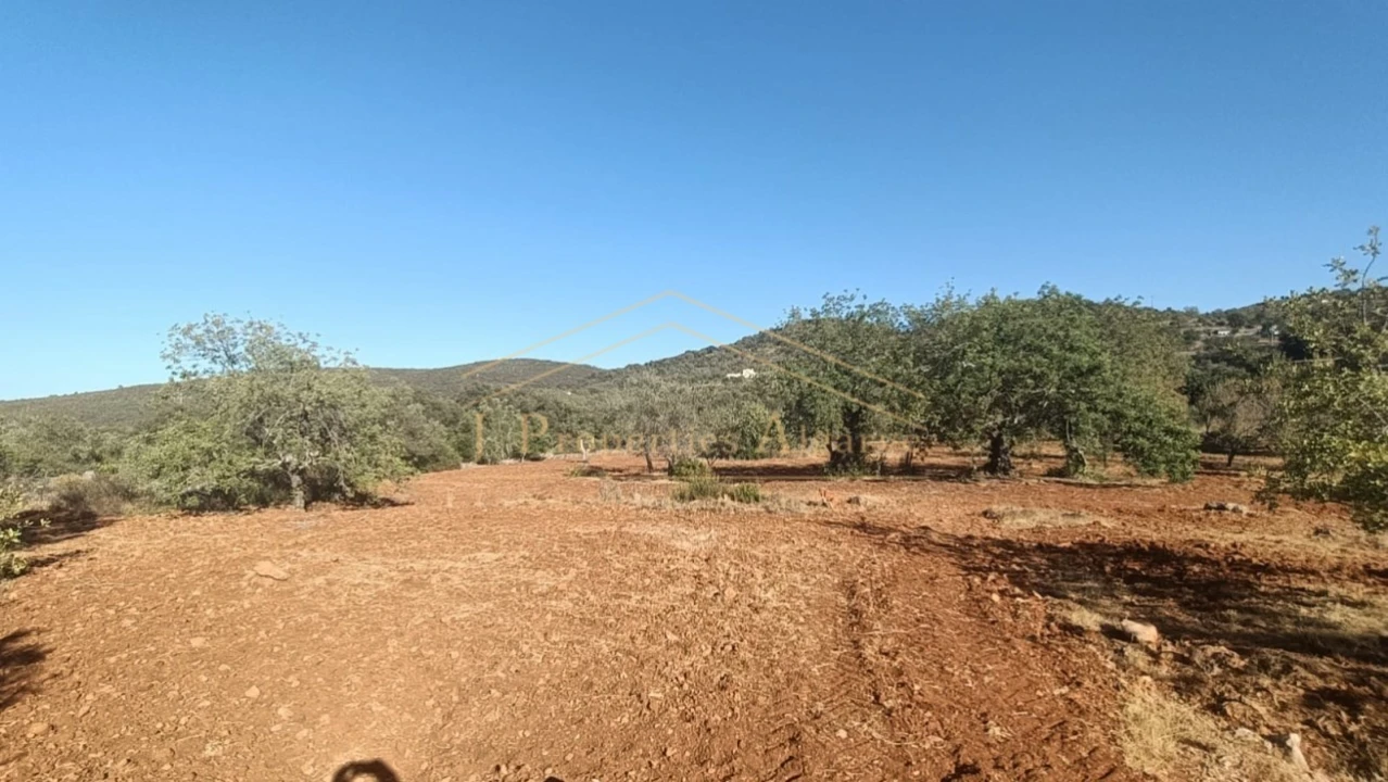 Terreno para Venda em Loule (São Sebastião) Foto 5