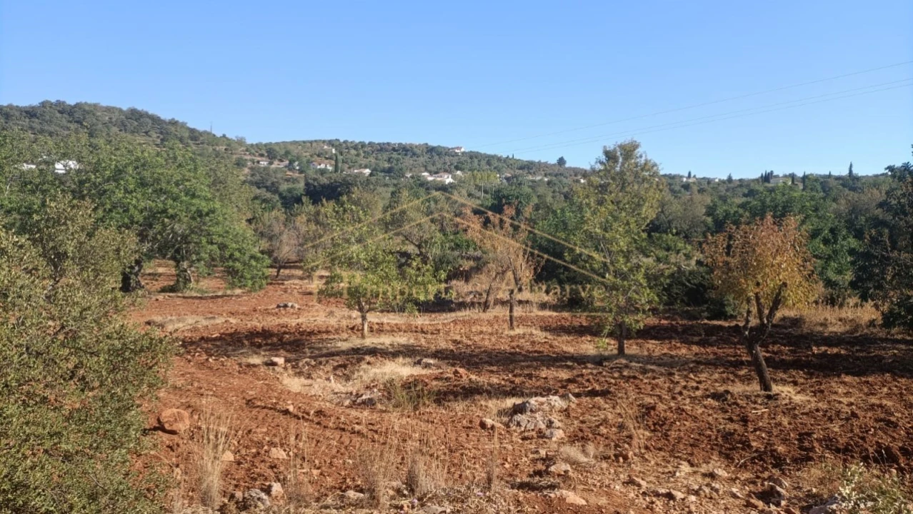 Terreno para Venda em Loule (São Sebastião) Foto 7