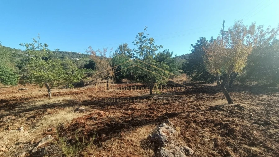 Terreno para Venda em Loule (São Sebastião) Foto 8