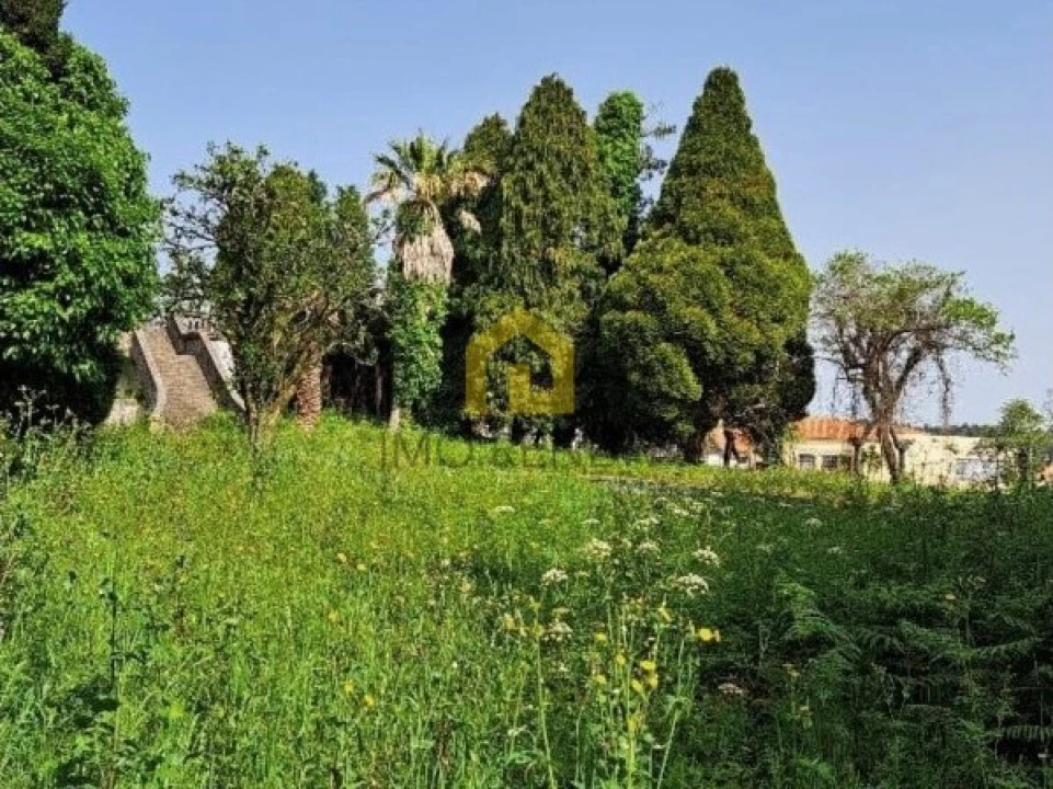 Quinta para Venda em Fiães Foto 9