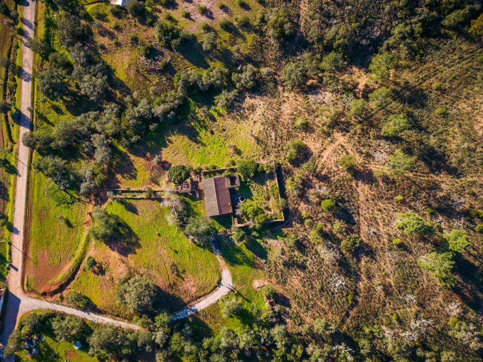 Terreno para Venda em São Brás de Alportel Foto 2