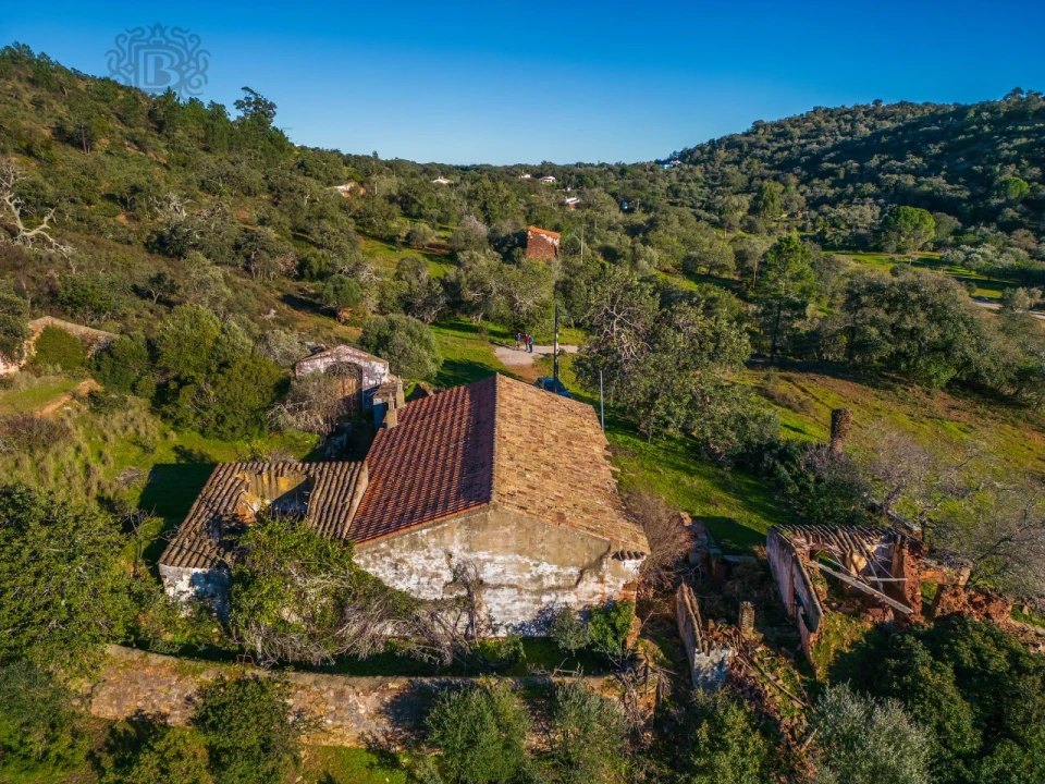 Terreno para Venda em São Brás de Alportel Foto 6