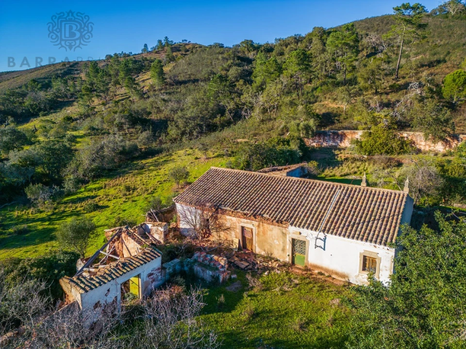 Terreno para Venda em São Brás de Alportel Foto 10