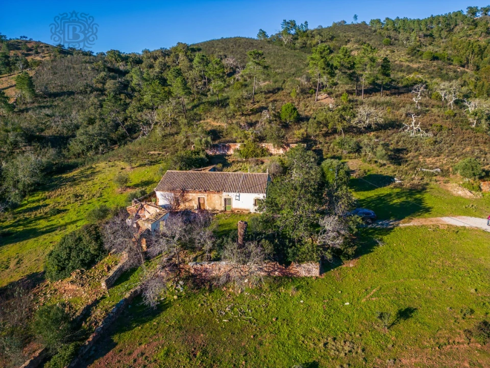 Terreno para Venda em São Brás de Alportel Foto 11