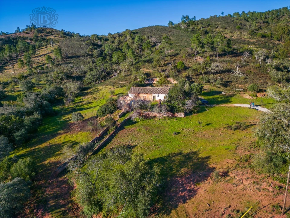 Terreno para Venda em São Brás de Alportel Foto 13