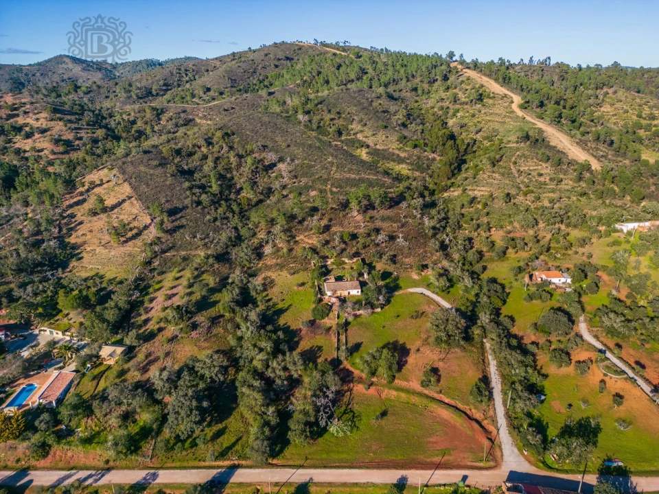 Terreno para Venda em São Brás de Alportel Foto 14
