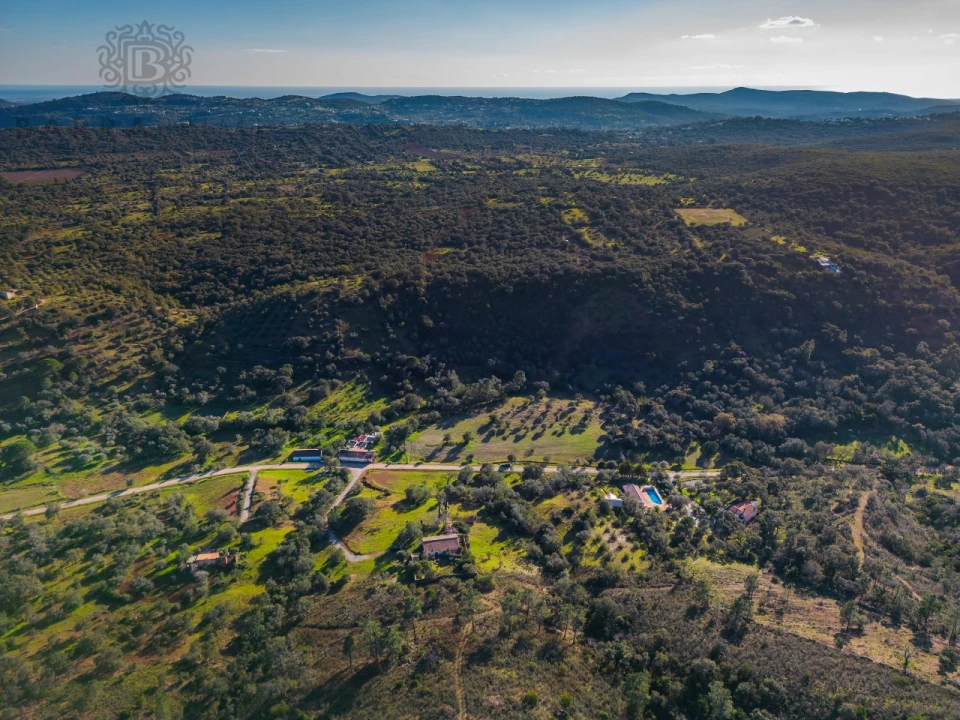 Terreno para Venda em São Brás de Alportel Foto 17