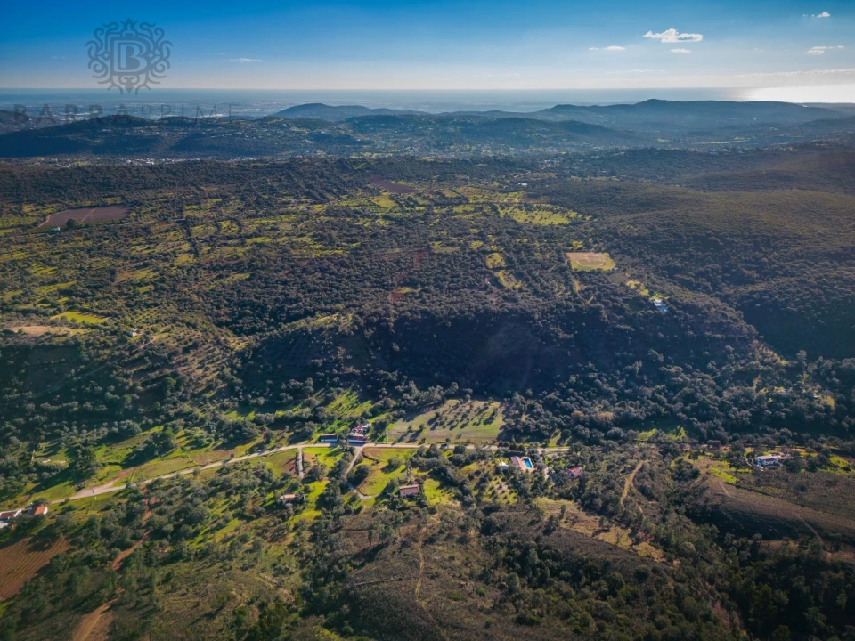 Terreno para Venda em São Brás de Alportel Foto 18