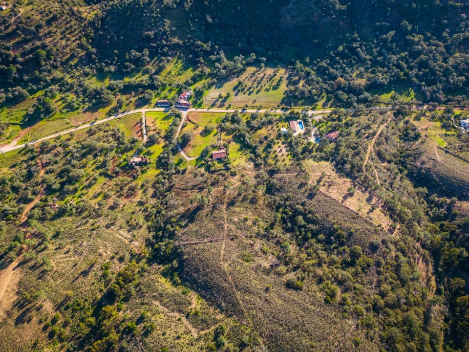 Terreno para Venda em São Brás de Alportel Foto 19