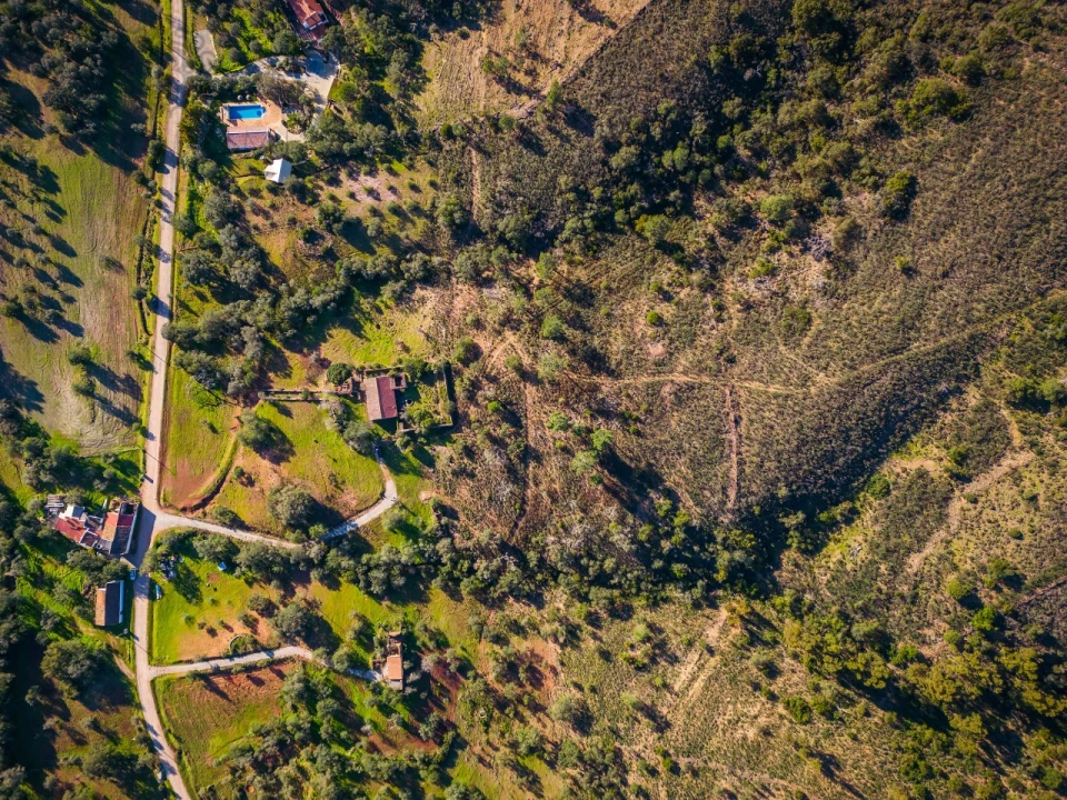 Terreno para Venda em São Brás de Alportel Foto 23