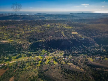Terreno para Venda em São Brás de Alportel