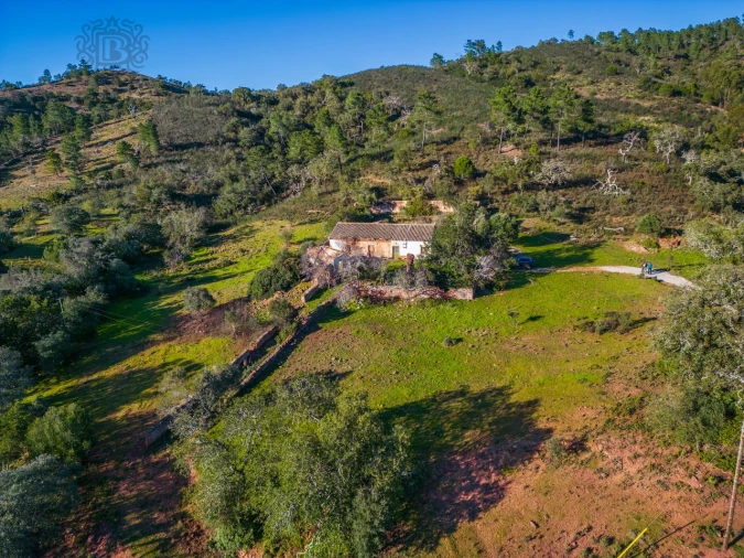 Terreno para Venda em São Brás de Alportel Foto 13