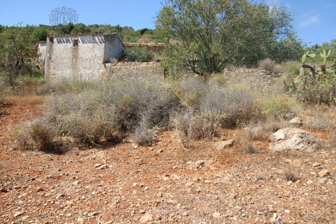 Terreno Misto para Venda em Conceição e Estoi Foto 2