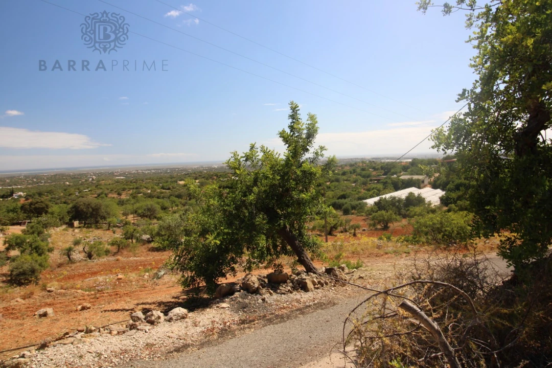 Terreno Misto para Venda em Conceição e Estoi Foto 6