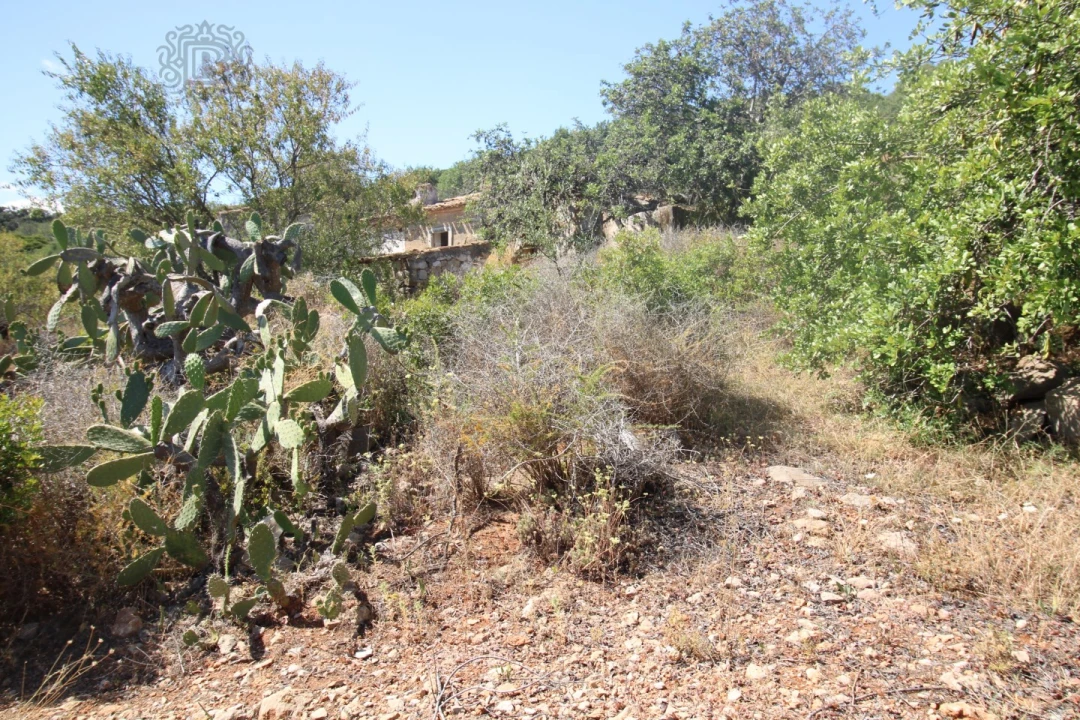 Terreno Misto para Venda em Conceição e Estoi Foto 9