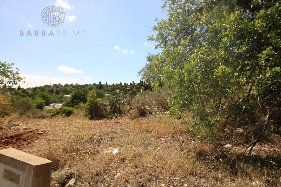 Terreno Misto para Venda em Conceição e Estoi Foto 13