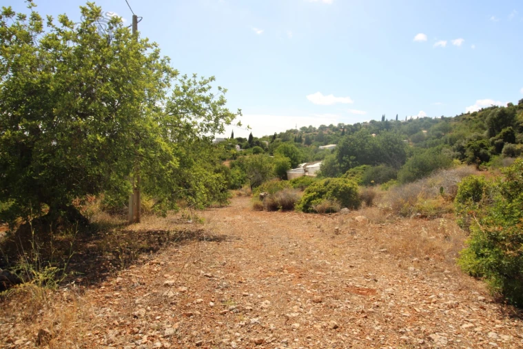 Terreno Misto para Venda em Conceição e Estoi Foto 3