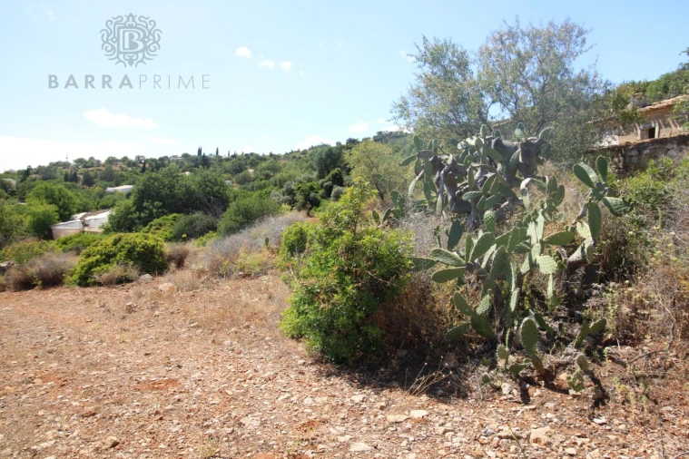 Terreno Misto para Venda em Conceição e Estoi Foto 10