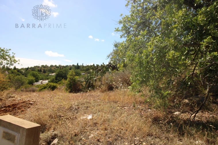 Terreno Misto para Venda em Conceição e Estoi Foto 13