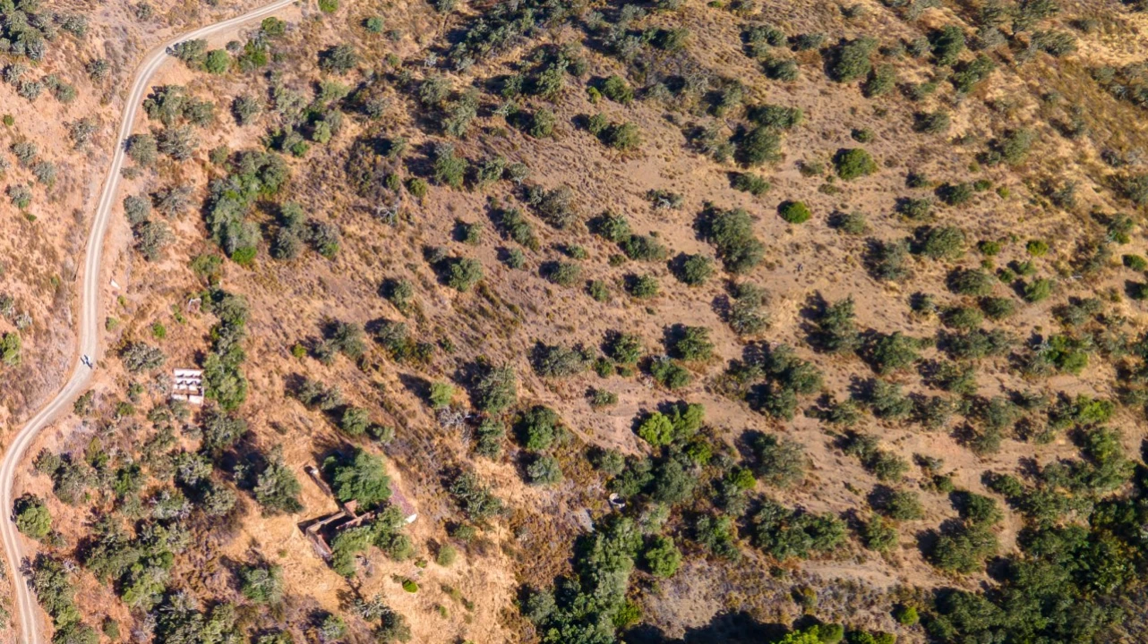 Terreno Misto para Venda em Alcoutim e Pereiro Foto 8