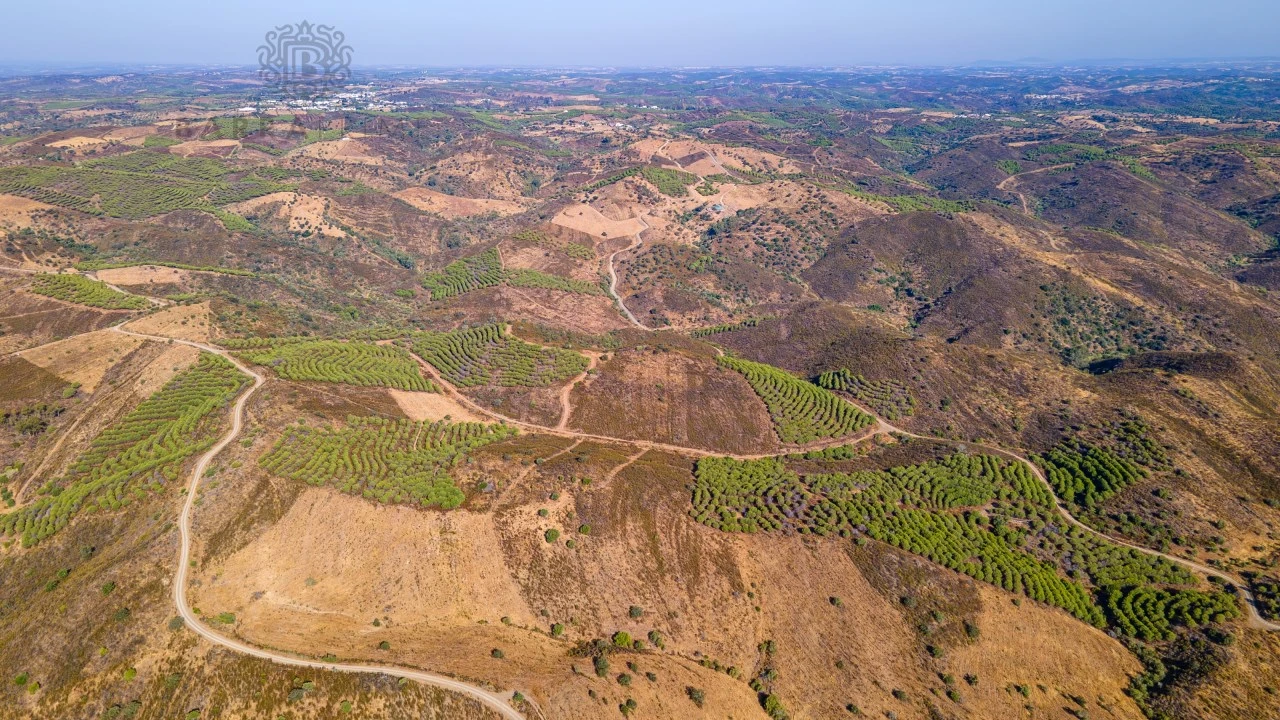 Terreno Misto para Venda em Alcoutim e Pereiro Foto 15