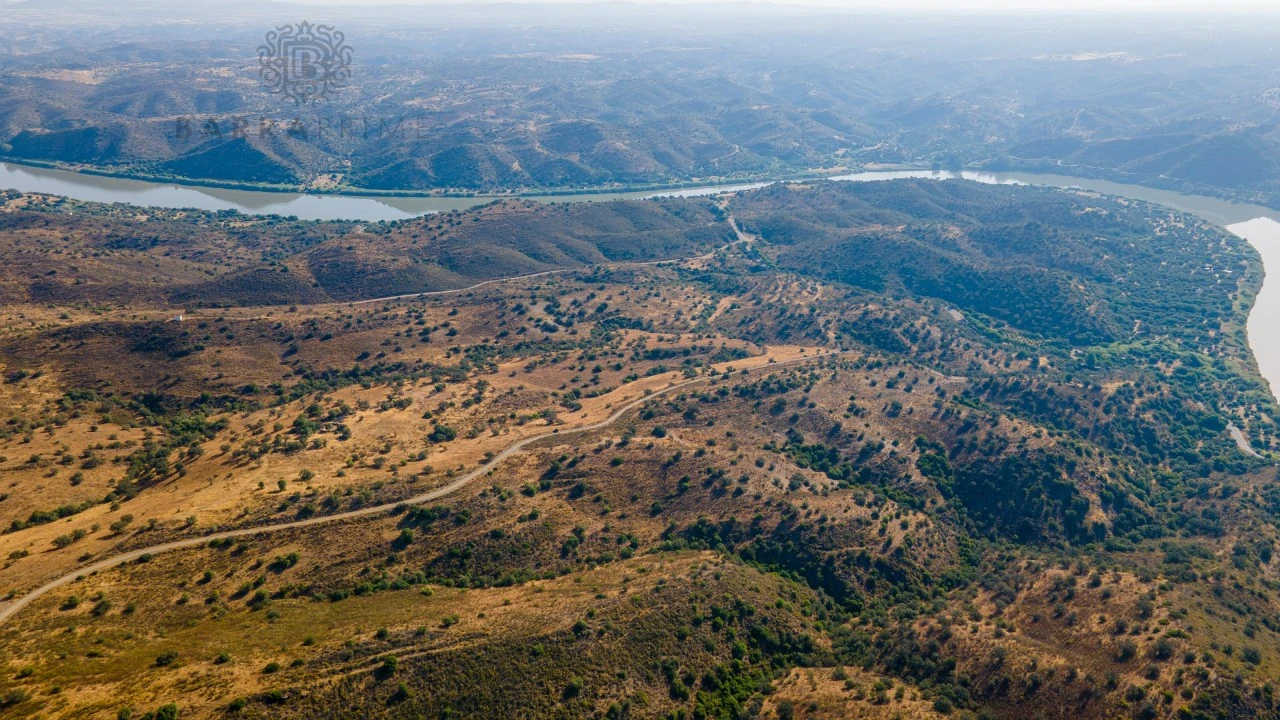 Terreno Misto para Venda em Alcoutim e Pereiro Foto 18