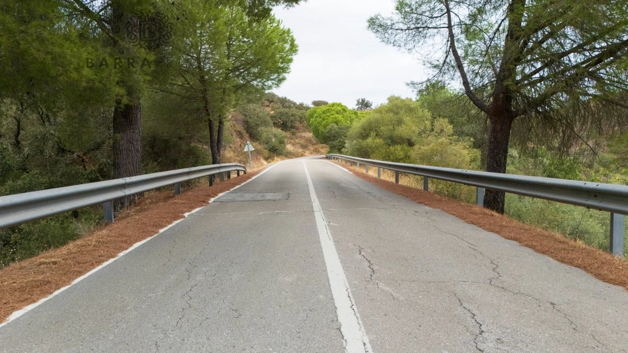 Terreno Misto para Venda em Alcoutim e Pereiro Foto 27