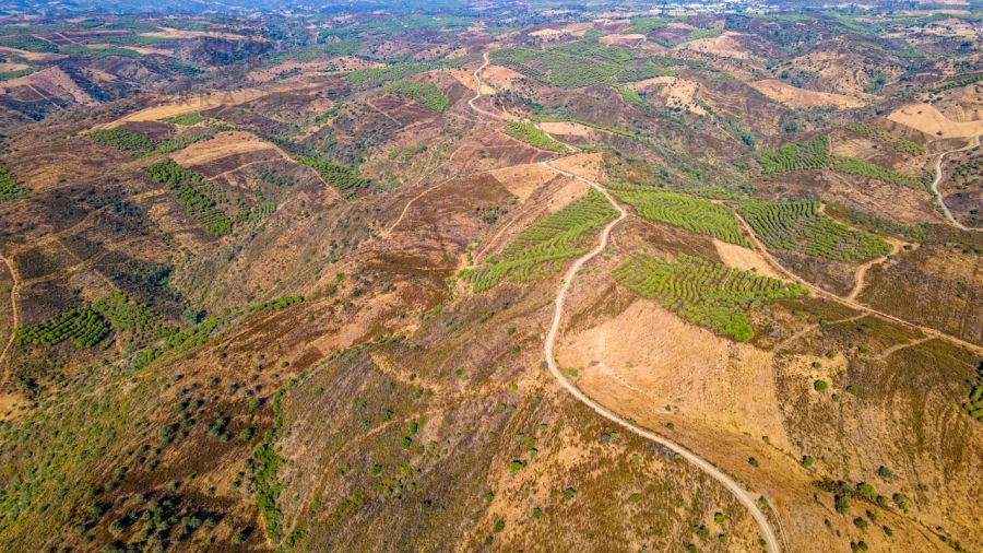 Terreno Misto para Venda em Alcoutim e Pereiro Foto 11
