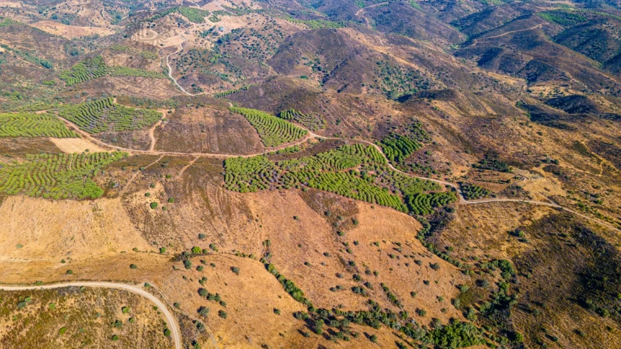 Terreno Misto para Venda em Alcoutim e Pereiro Foto 12