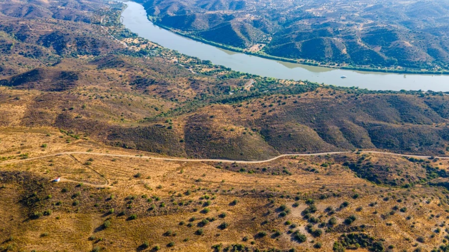 Terreno Misto para Venda em Alcoutim e Pereiro Foto 5