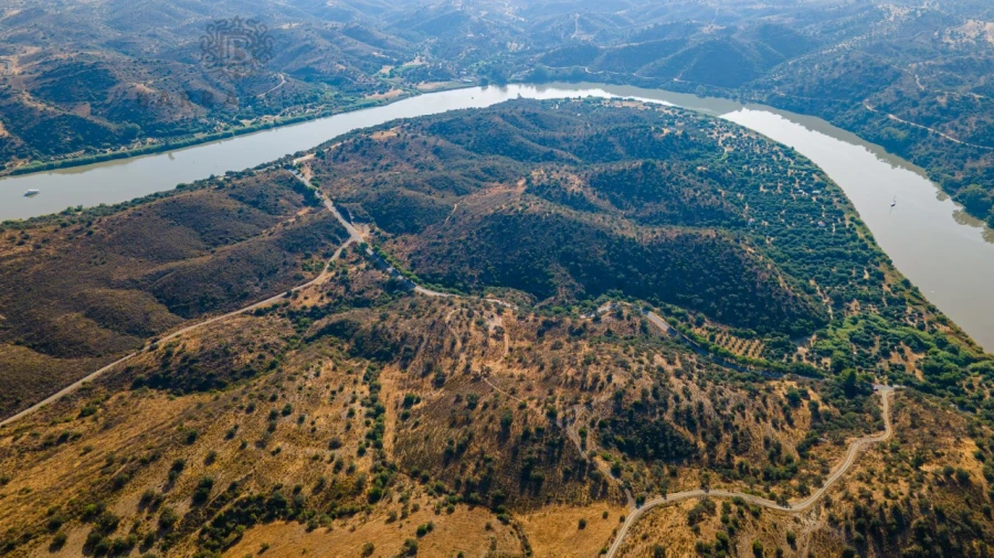 Terreno Misto para Venda em Alcoutim e Pereiro Foto 14