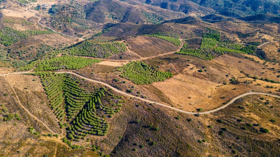Terreno Misto para Venda em Alcoutim e Pereiro Foto 16
