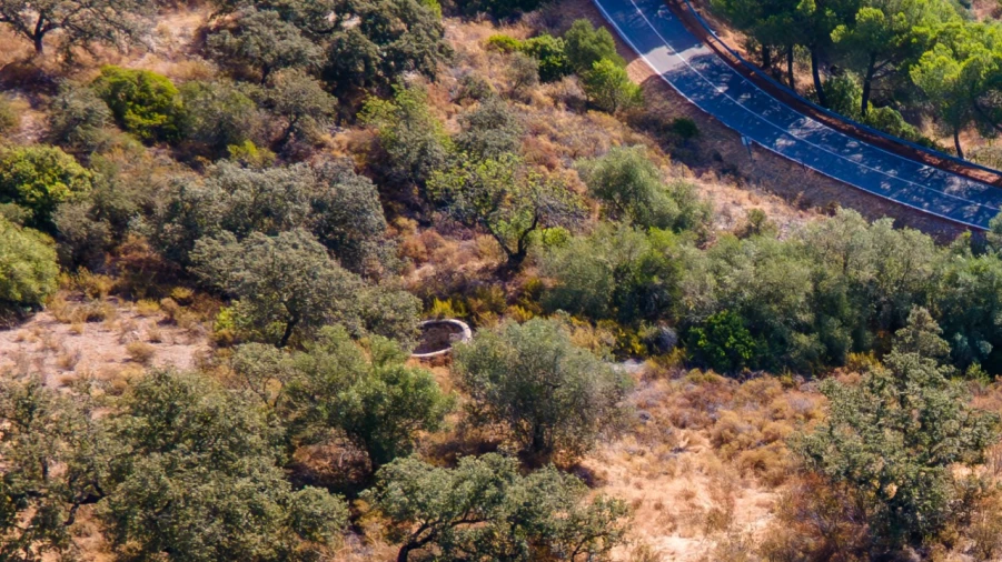 Terreno Misto para Venda em Alcoutim e Pereiro Foto 20