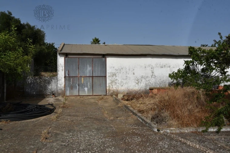 Moradia T9 para Venda em Santa Barbara de Nexe Foto 6